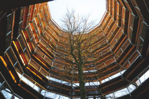 Observation tower 'Adlerhorst' is the highlight of the canopy pathway (Baumwipfelpfad) near Binz and Prora, Naturerbe-Zentrum, Rügen, Mecklenburg-West Pomerania, Germany, Observation tower 'Adlerhorst' is the highlight of the canopy pathway (Baumwipfelpfad) near Binz and Prora, Naturerbe-Zentrum, Rügen, Mecklenburg-West Pomerania, Germany,